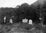 Cemetery at Port Ross, Auckland Islands; Jabez Peters' grave at left.