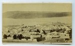 Allen, J W : Dunedin 1874