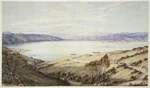 Barraud, Charles Decimus 1822-1897 :[Wellington from Kelburn] 1870