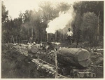 Timber workers on a bush railway, Goldies Bush, Whangaroa