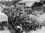 Procession of horses and carts transporting coal, Waikino