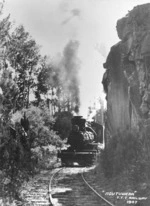 Steam locomotive on the Taupo Totara Timber Company railway line - Photographer unidentified