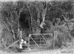 Children at the original gate to the entrance of the Khandallah Domain in Clark Street, Wellington
