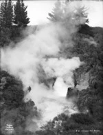 Champagne Geyser, Wairakei