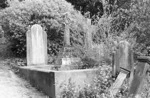 The Curtis and White family grave, plot 2208, Bolton Street Cemetery