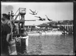 Group diving into Te Aro Baths, Oriental Bay, Wellington