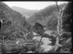 Totara Flat, Rimutaka Range