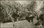 Train with a Fairlie locomotive on Ladle Bend, Rimutaka Incline