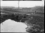 The pond, Te Mata, near Raglan, 1910 - Photograph taken by Gilmour Brothers
