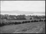 General view of Onehunga from Mangere