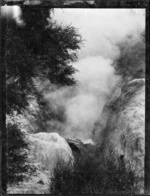 Geyser, Wairakei