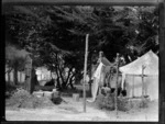 View of camp, Lake Rotoehu