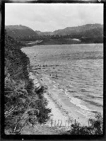 View of lake shore, Lake Rotoehu