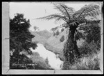 View of Lake Raupo, near Masterton