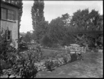 Garden at 43 Holmwood Road, Fendalton, Christchurch