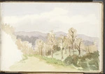 Hill, Mabel 1872-1956 :[Landscape with road through autumn trees. Masterton? 1890?]