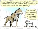 Smith, Hayden James, 1976- : "I know I LOOK like a vicious killer. But actually I identify more with my labrador side..." 5 May 2011