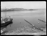 Evans Bay and Rongotai