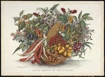 Osborne, Fanny, 1852-1933 :Native berries of New Zealand / F. Osborne. Auckland; printed by the Brett Printing Company [1913]