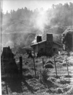 Dwelling in the vicinity of Campbell's Mill, Akatarawa - Photograph taken by James Walter Chapman-Taylor