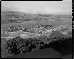 View of Wellington's eastern suburbs from Mount Victoria - Photograph taken by E Woollett