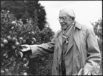 Lord Bledisloe inspecting apples in his orchard