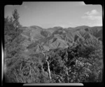 View of Golden Bay from Takaka Hill Road, Tasman Region