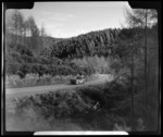 Forestry, near highway to Murchison, Golden Downs, Tasman Region