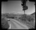 Golden Bay County, near Pakawau Inlet and Collingwood, Tasman Region