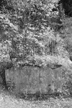 Grave of Alfred Ludlam, plot 5304, Bolton Street Cemetery
