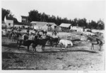 Hack yard at Longbeach Station, Canterbury - Photograph taken by J Grigg