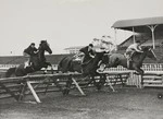 Three jockeys jumping horses over fences at early morning training, Ellerslie