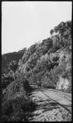 People, in the distance, walking down a dirt road, Punakaiki