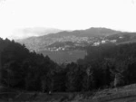 Looking north-west over Newtown Park towards Newtown, Wellington