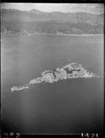 Aerial view of Somes Island