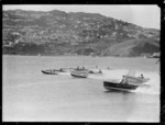 Motorboat racing at Evans Bay