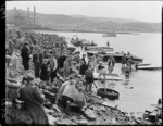 Motorboat racing at Evans Bay