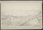 Drew, T, fl 1888 :Wellington New Zealand. 1888.