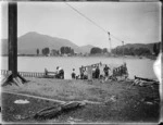 Punt carrying sheep over the Uawa River, Tolaga Bay, East Coast, Gisborne region