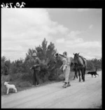 Sheep drovers, Mangaorapa, Hawke's Bay