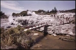 Silica thermal terraces, Whakarewarewa