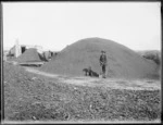 Nicholas Covich senior, and his son, by a pile of processed kauri gum, Ahipara, Northland region