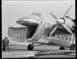 Bristol Freighter aeroplane at Paraparaumu