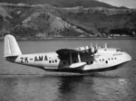 Seaplane Aotearoa, landing in Wellington Harbour