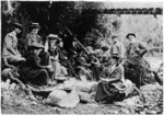 Picnic at New Plymouth