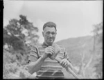 Tree felling in the Karori Cemetery, Wellington