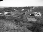 Gum digging settlement, Sweetwater Hill, Northland