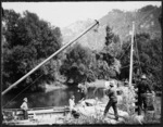 Loading pigs on to a boat, Mokau River