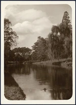 View of the Avon River, Christchurch