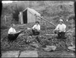 Bradley brothers cleaning gum, near Houhora